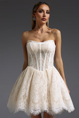 Saturn Sleeveless Fishbone Lace Mini Dress