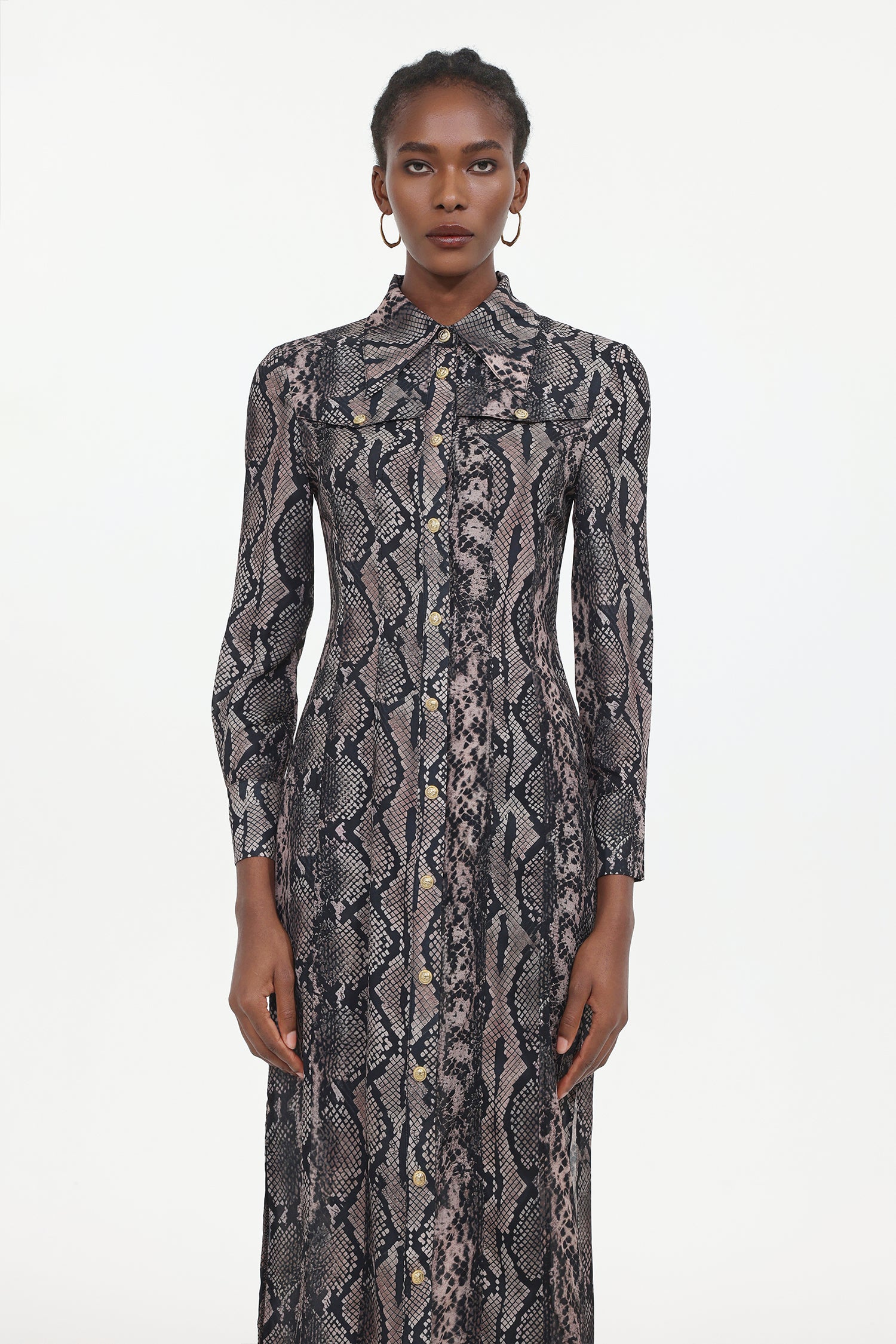 Tinnie Elegant Tailored Long Sleeve Snake Print Woven Maxi Dress