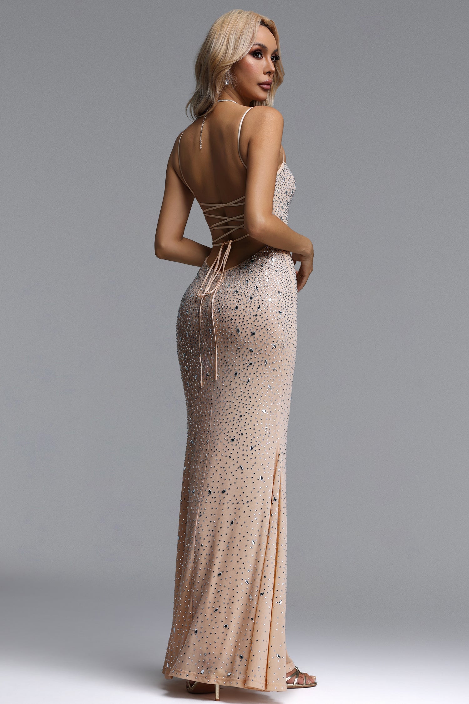 Emta Chic Contour Crystal Mesh Beige Maxi Dress