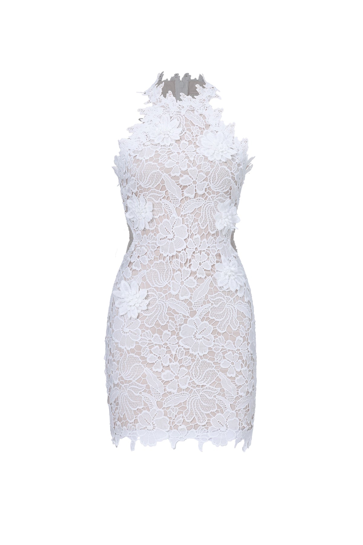 Nadja Romantic Contour Sleeveless Floral Lace Mini Dress